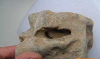 梦幻西游七窍玲珑阵怎么玩 梦幻西游七窍玲珑阵